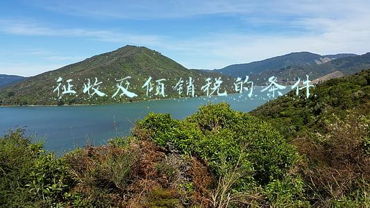 征收反倾销税的条件