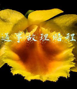 交通事故理赔程序