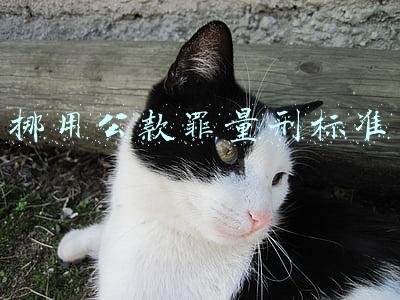 挪用公款罪量刑标准