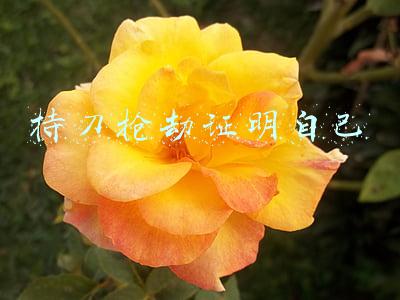 持刀抢劫是什么违法行为(持刀入室抢劫罪的量刑标准是什么，抢劫罪既遂是怎样认定的？)
