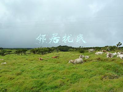 邻居扰民