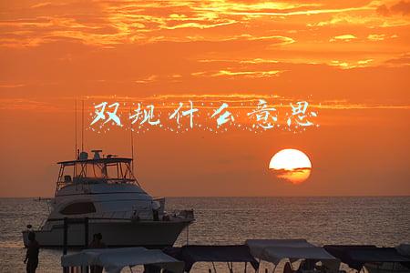 双规什么意思