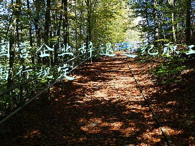 国营企业辞退违纪职工暂行规定