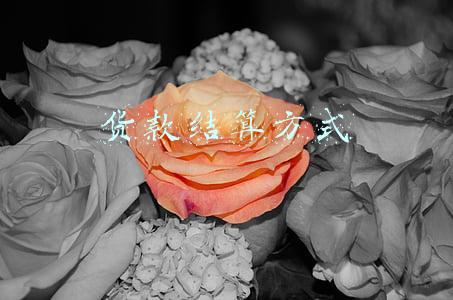 货款结算方式