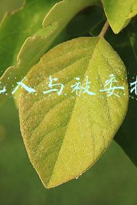 委托人与被委托人