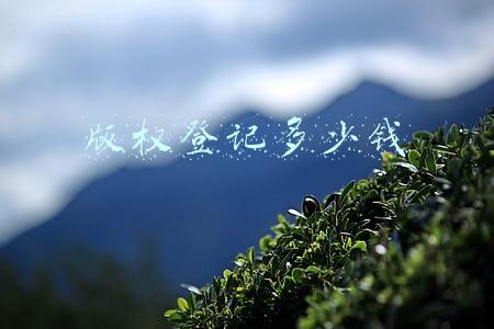 版权登记多少钱