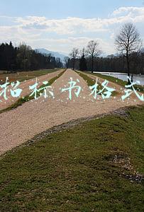 招标书格式