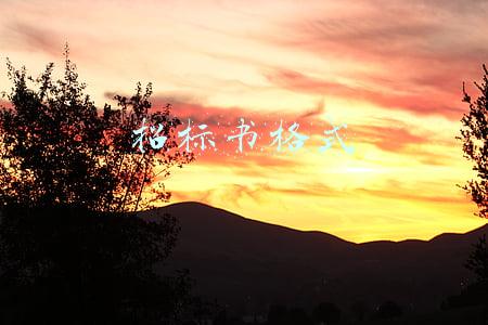 招标书格式
