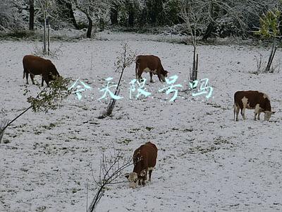 今天限号吗