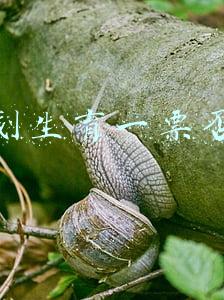 山西省计划生育一票否决(晋中市召开会议进一步加强计划生育管理工作)