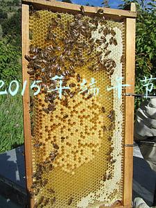 2015年端午节