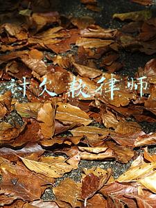 追讨欠款律师函