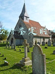 伤情鉴定时间