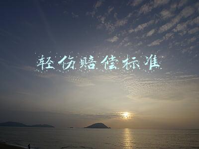 轻伤赔偿标准