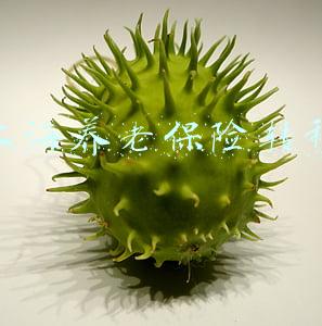 上海养老保险转移