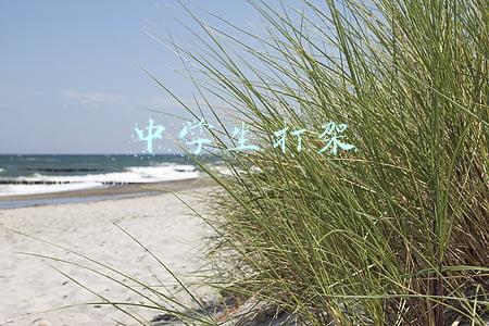 中学生打架