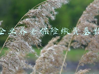 企业养老保险缴费基数