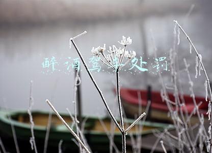 醉酒驾车处罚2021最新标准(醉驾2021年最新量刑标准是怎样的)