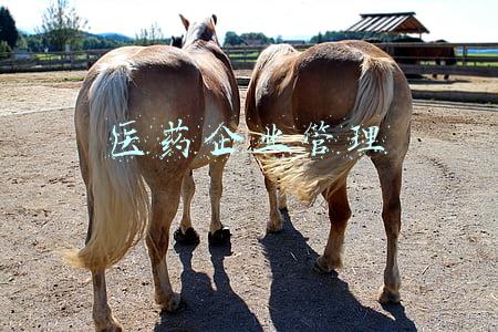 医药企业管理