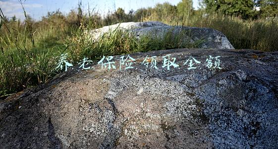 杭州城乡居民养老保险领取金额(2022年，在浙江缴纳居民养老保险费，可以领到多少养老金)