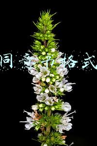 家长知情同意书格式(全员协同推进“心育”)