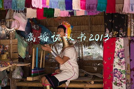 离婚协议书2013