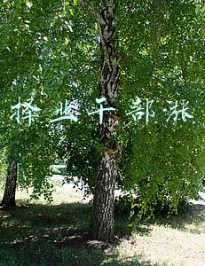 自主择业干部涨工资