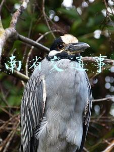 云南省交通事故