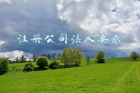 注册公司法人要求