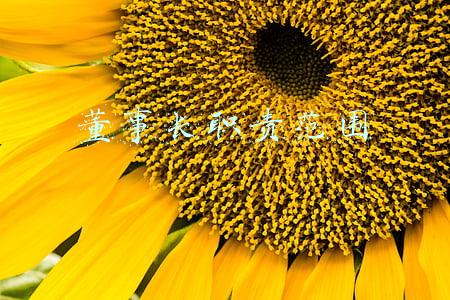 董事长职责范围