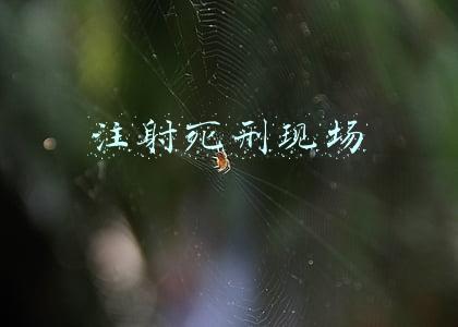 注射死刑现场