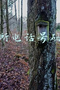 派出所电话号码查询