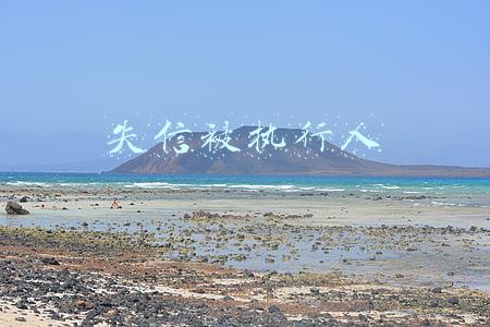 失信被执行人