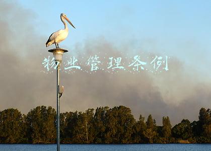 物业管理条例2018全文(【新规速递】《衡水市物业管理条例》全文)