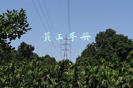 员工手册