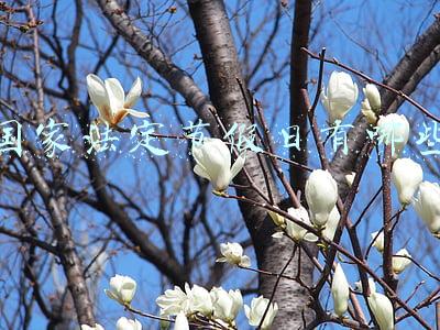 国家法定节假日有哪些,一共多少天(2022年放假安排来了)