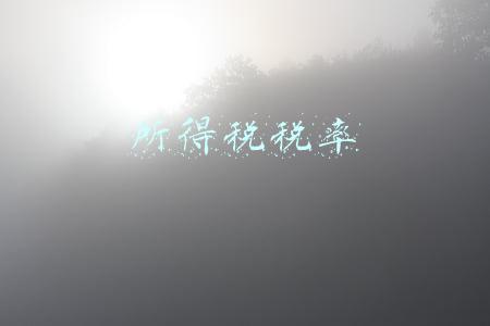 所得税税率