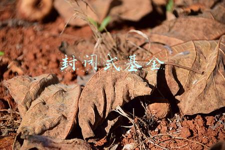 封闭式基金
