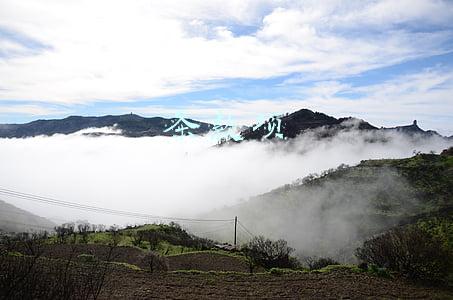 条款项 条款项