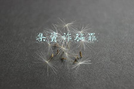 集资诈骗罪与诈骗罪区别(诈骗罪与集资诈骗罪的主要区别)