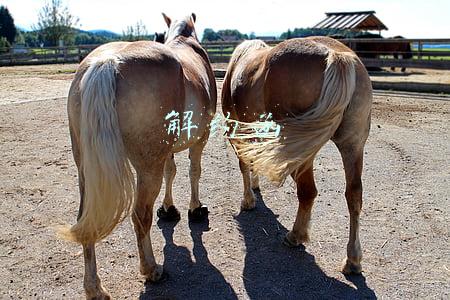 解约函的解约理由怎么写(劳动合同解除通知书（模板）)