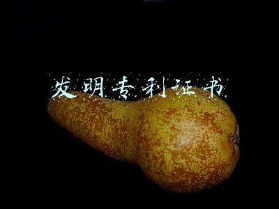 发明专利证书
