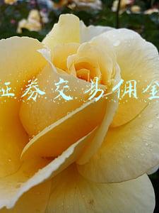 证券交易佣金