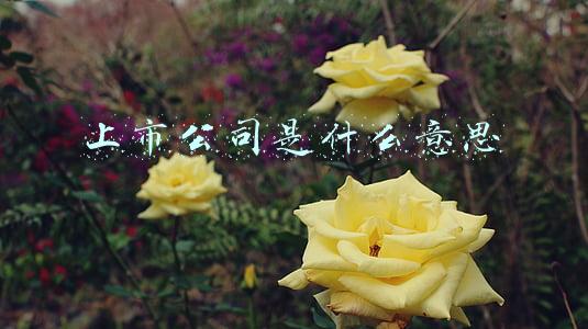 上市公司是什么意思