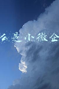 什么是小微企业六税两费减免政策(两部门：进一步实施小微企业“六税两费”减免政策)