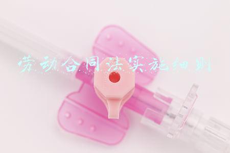 湖南省劳动合同法实施细则(湖南省人民代表大会常务委员会关于修改《湖南省水能资源开发利用管理条例》等九件地方性法规的决定)