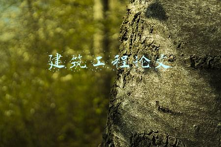 建筑毕业论文(四川农业大学网络教育建筑类专业毕业论文参考选题)