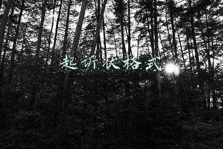 起诉状格式