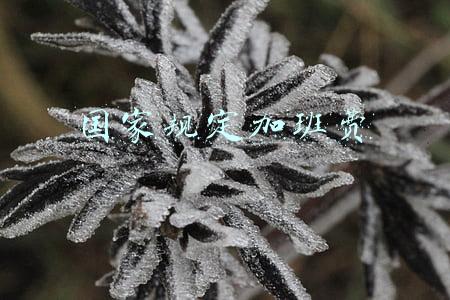 国家规定加班费