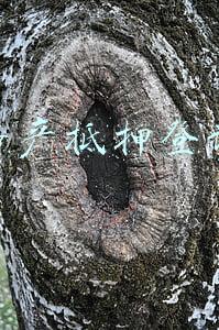 房产抵押登记